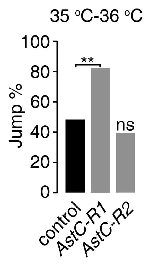 Open access visualization of Bar Plot, AstC-R1, AstC-R2 Mutants, Jump Percentages