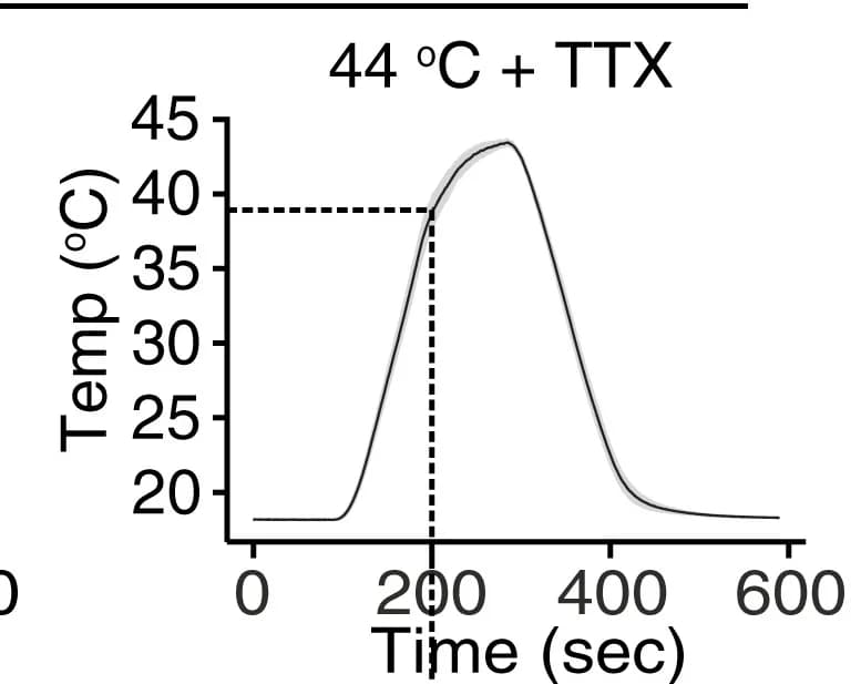 Open access visualization of Line Plot, Error Bars, Temperature Ramps, Tetrodotoxin