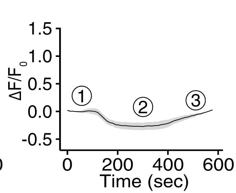 Open access visualization of Line Plot, Error Bars, GCaMP6f Signals, Temperature Ramp