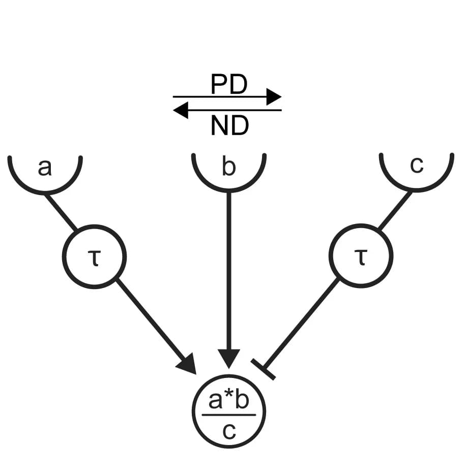 Open access visualization of Workflow, Flowchart, Illustration, Circuit Model, Motion Detection
