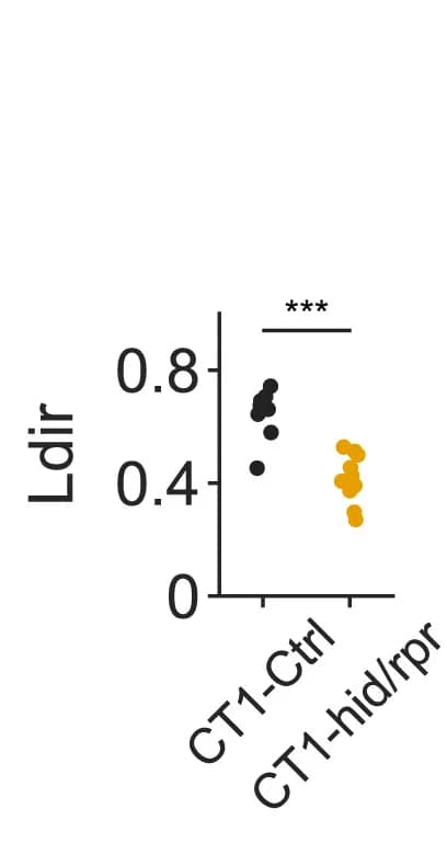 Open access visualization of Scatter Plot, Directional Tuning Curves, Directional Index, Ldir, Gal4-CT1