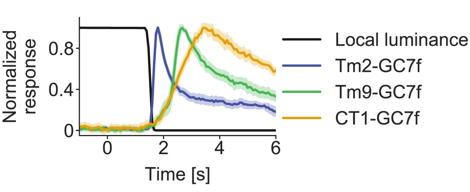 Open access visualization of Line Plot, Error Bars, Calcium Activity, Tm2 Terminals, Tm9 Terminals