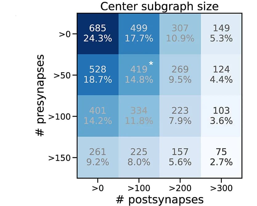 Open access visualization of Heatmap, Subgraphs, Presynapse, Postsynapse, Thresholds