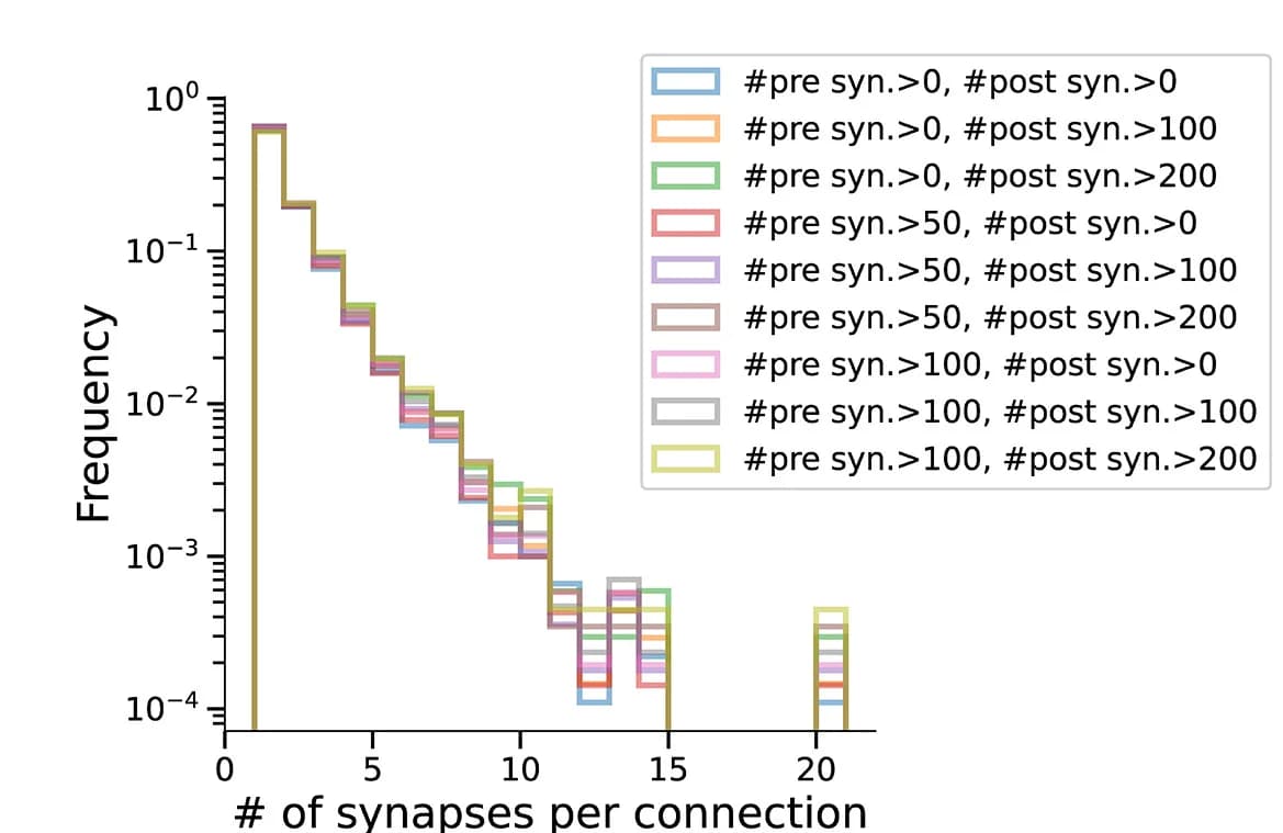 Open access visualization of Histogram, Synapses, Connection, Center Definitions, Distribution