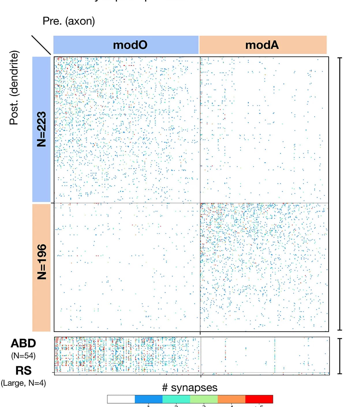 Open access visualization of Heatmap, Connections, Neurons, Modules, SBM