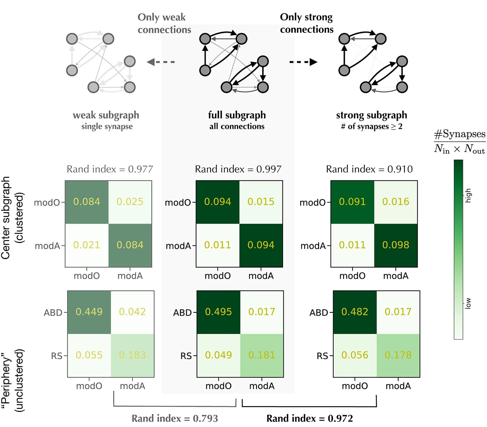 Open access visualization of Heatmap, Modularity Structures, Degree-Corrected SBM Algorithm, Synapse Counts, Presynaptic