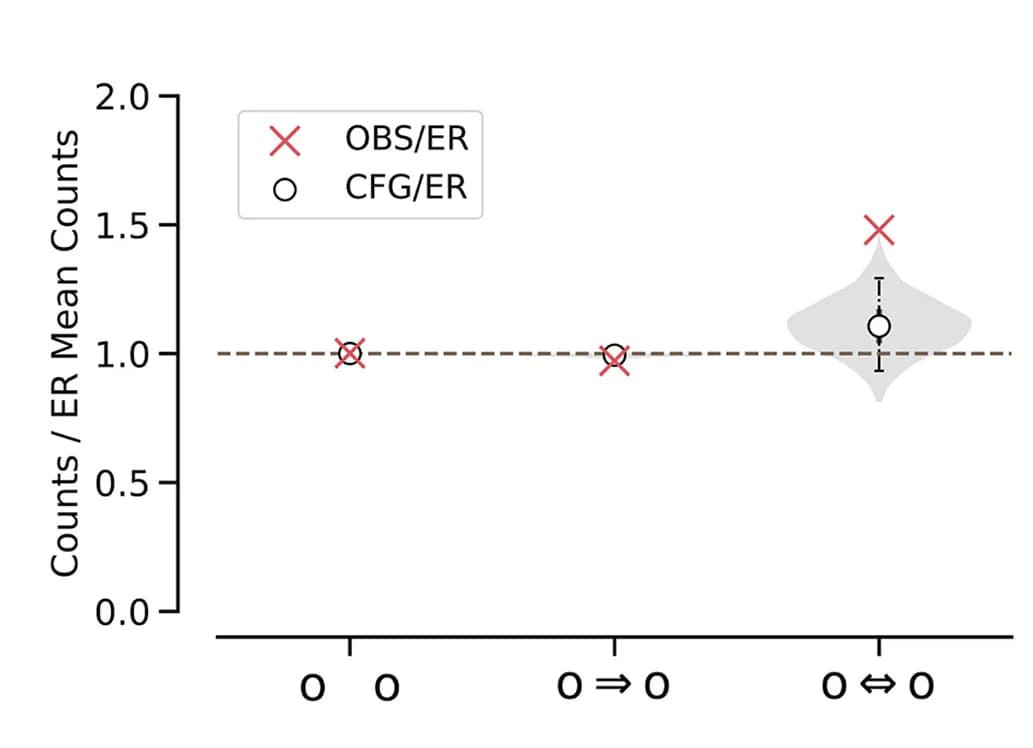 Open access visualization of Violin Plot, Scatter Plot, Error Bars, Motif Frequencies, modO