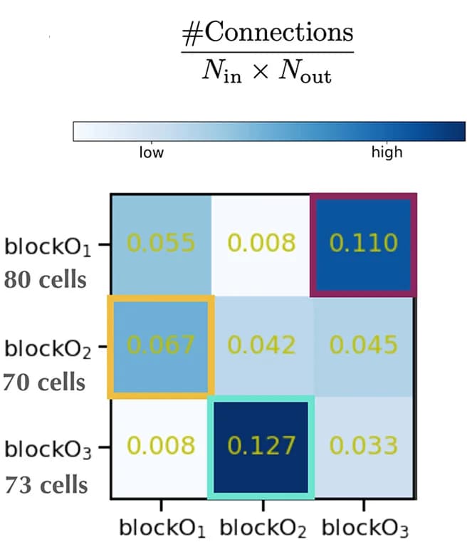 Open access visualization of Heatmap, Connection probability matrix, 3-cycle blocks, Cyclic inter-block connections