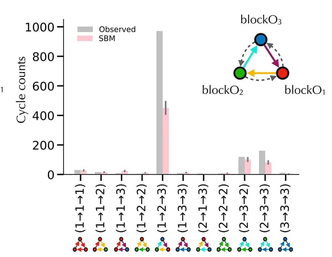 Open access visualization of Bar Plot, Error Bars, Network, Motifs, 3-cycles