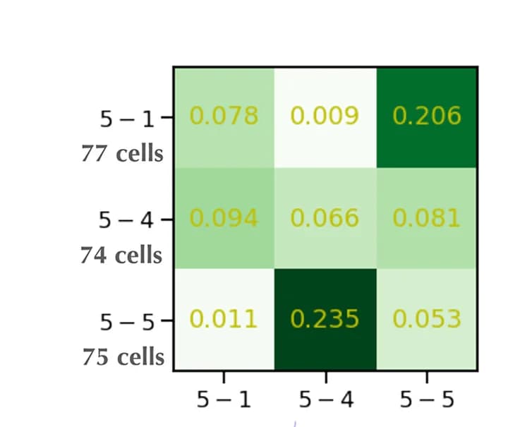 Open access visualization of Heatmap, Normalized synapse counts, 5-block SBM, 3-block SBM, Input neurons