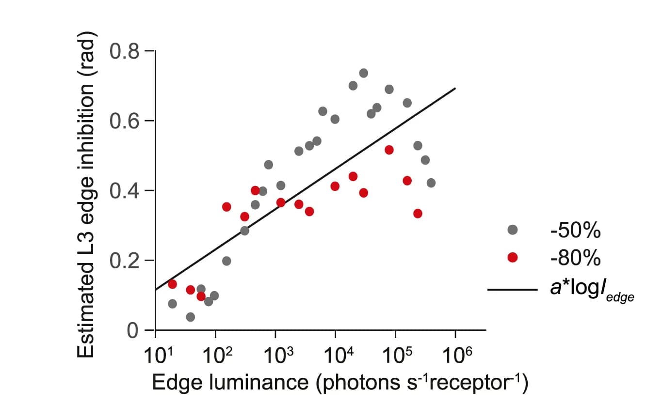 Open access visualization of Scatter Plot, Regression Plot, Edge Inhibition, L3, Edge Luminance