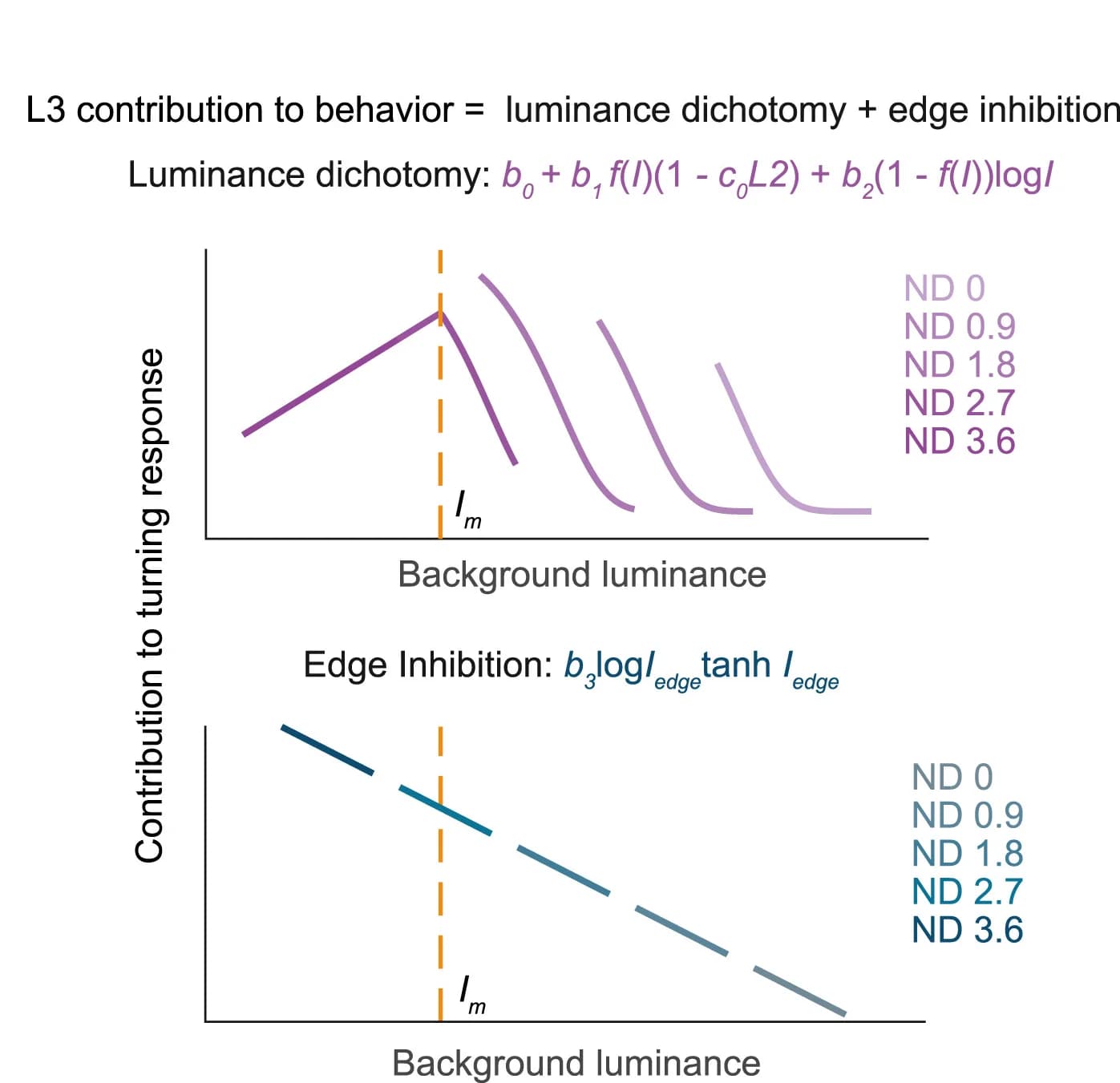 Open access visualization of Line Plot, Line Step, Algorithmic Model, Luminance-Dependent Dichotomy, L3 Contribution