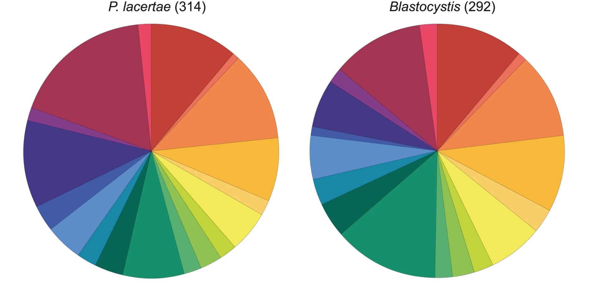 Open access visualization of Pie Chart, Mitochondrial Proteins, Genomes, Proteins, Pathways