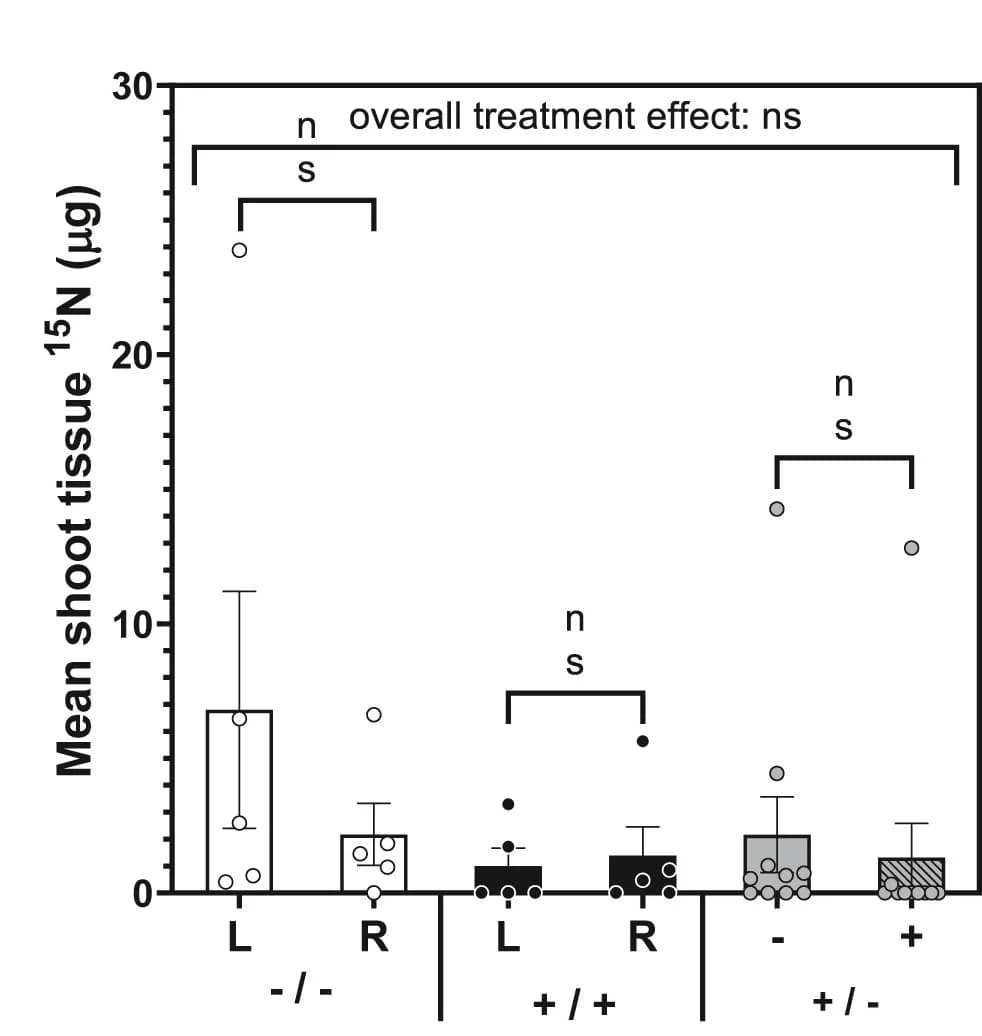 Open access visualization of Bar Plot, Error Bars, Scatter Plot, Shoot 15N content, Neighboring Plants