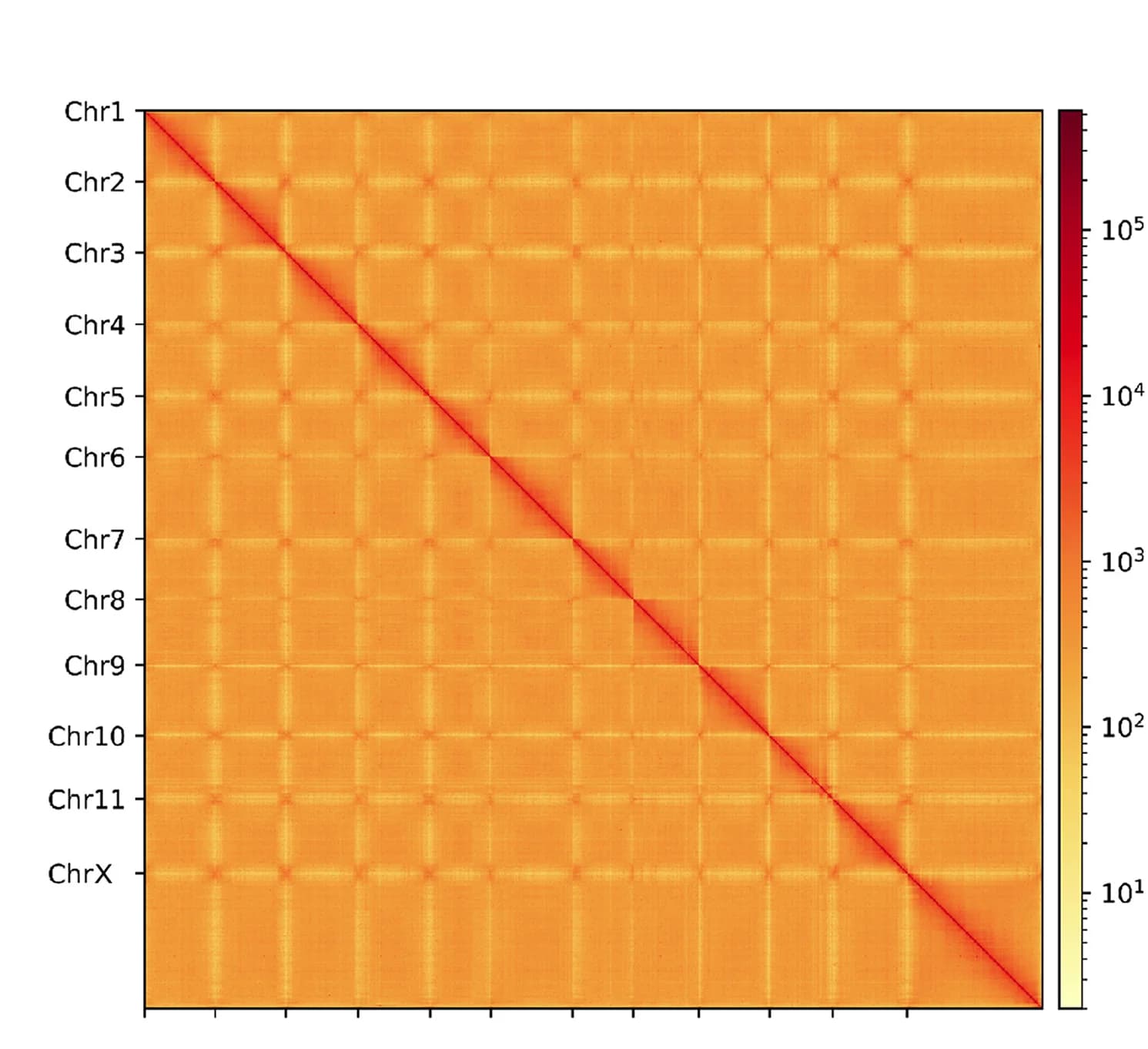 Open access visualization of Heatmap, Hi-C, Chromatin Interactions, Chromosomes
