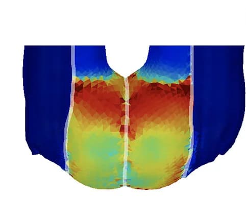 Open access visualization of 3D Plot, Stress Patterns, Bulbous Ends, Epidermal Plane, Guard Cells
