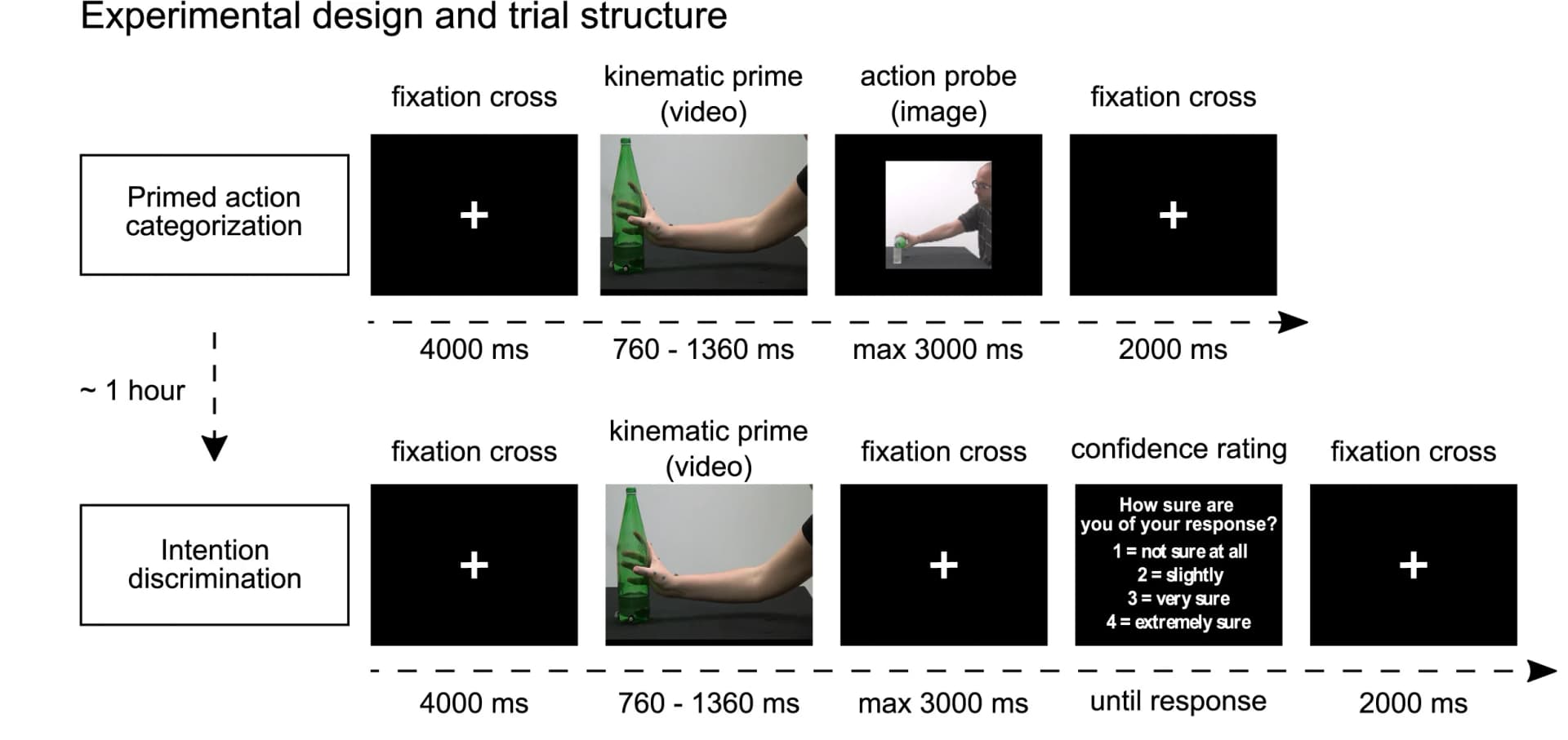 Open access visualization of Workflow, Flowchart, Experimental Design, Action Categorization, Intention Discrimination