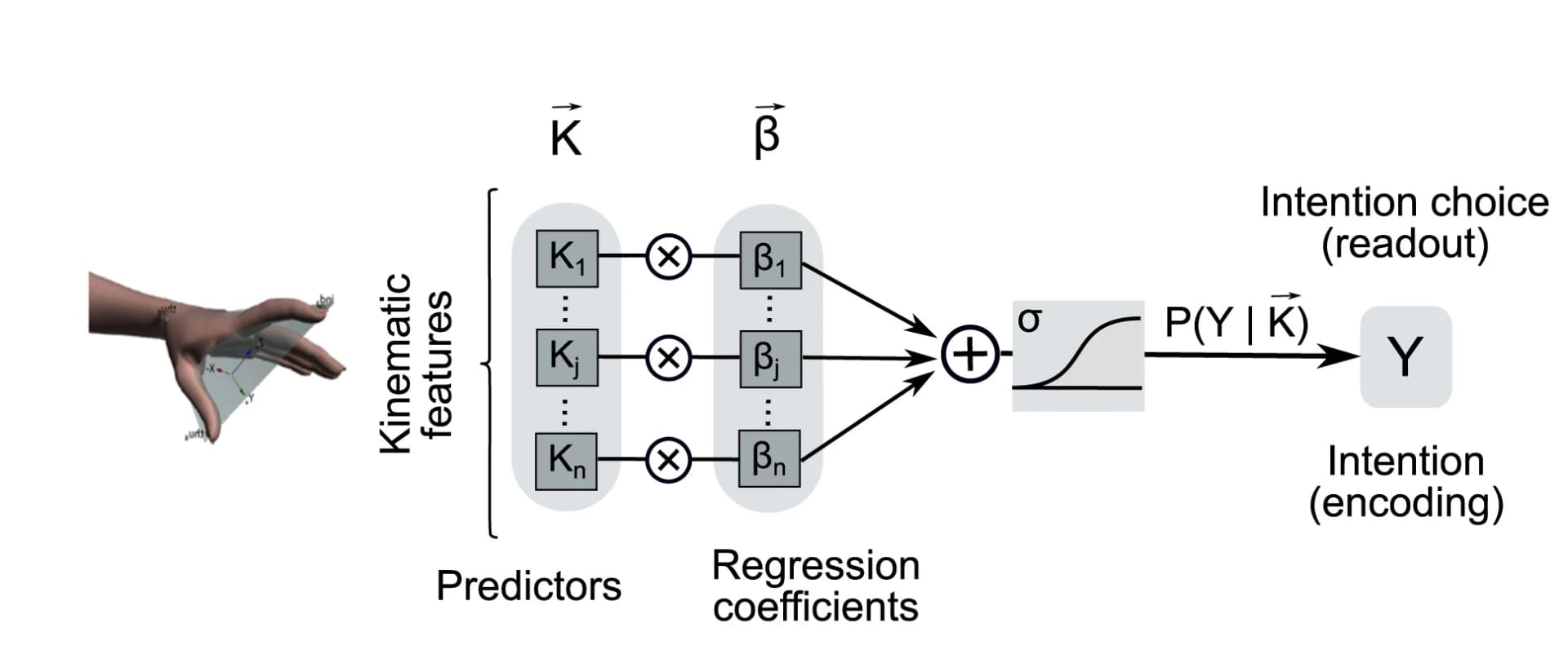 Open access visualization of Workflow, Illustration, Encoding Model, Readout Model