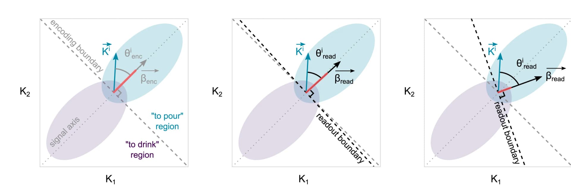 Open access visualization of Scatter Plot, Kinematic Encoding Model, Readout Models, Kinematic Space, Probability Distributions