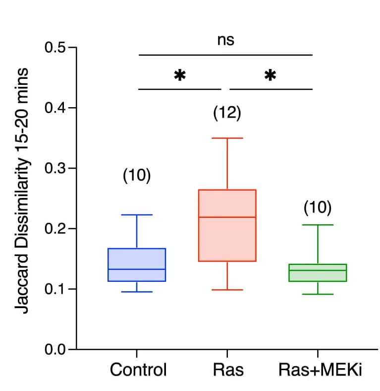 Open access visualization of Box Plot, Jaccard Dissimilarity, Anaphase, Box-Whisker Plot, Mann-Whitney Test