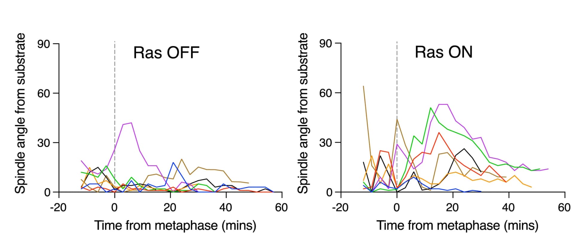 Open access visualization of Line Plot, Spindle Angle, Substrate, MCF10A ER-RasV12-tubulin-GFP Cells, Ethanol