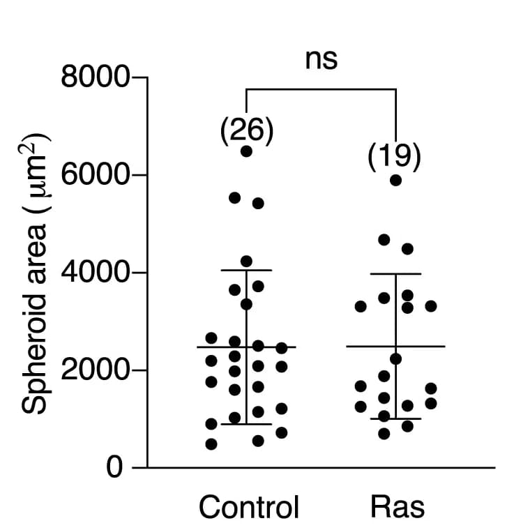 Open access visualization of Scatter Plot, Error Bars, Spheroid, Cross-Sectional Area, MCF10A-ER-HRasV12 Spheroids