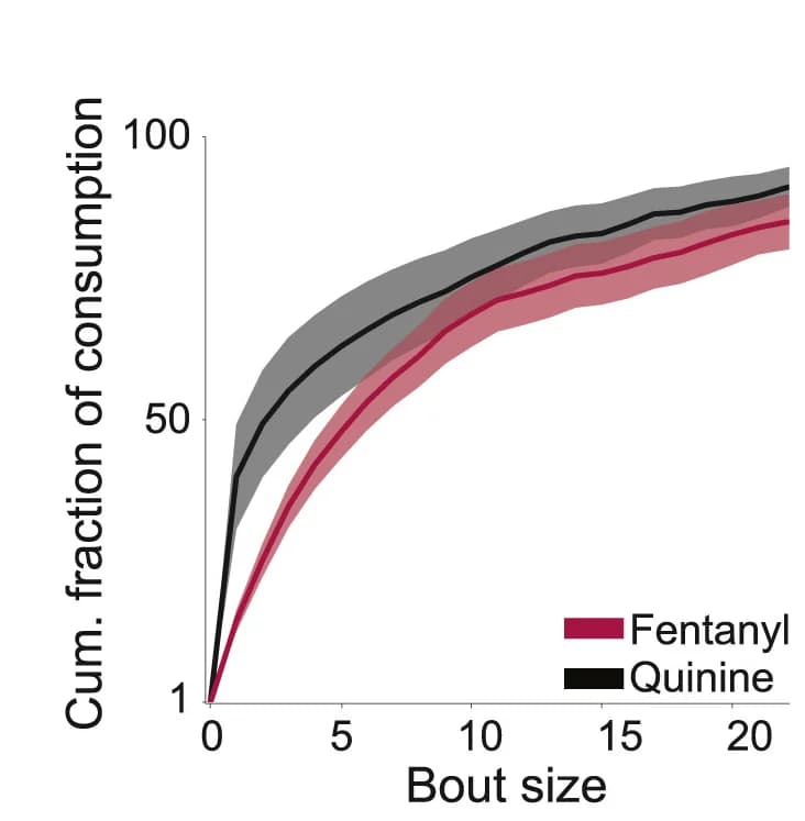 Open access visualization of Line Plot, Error Bars, Consumption, Bout Length, Quinine