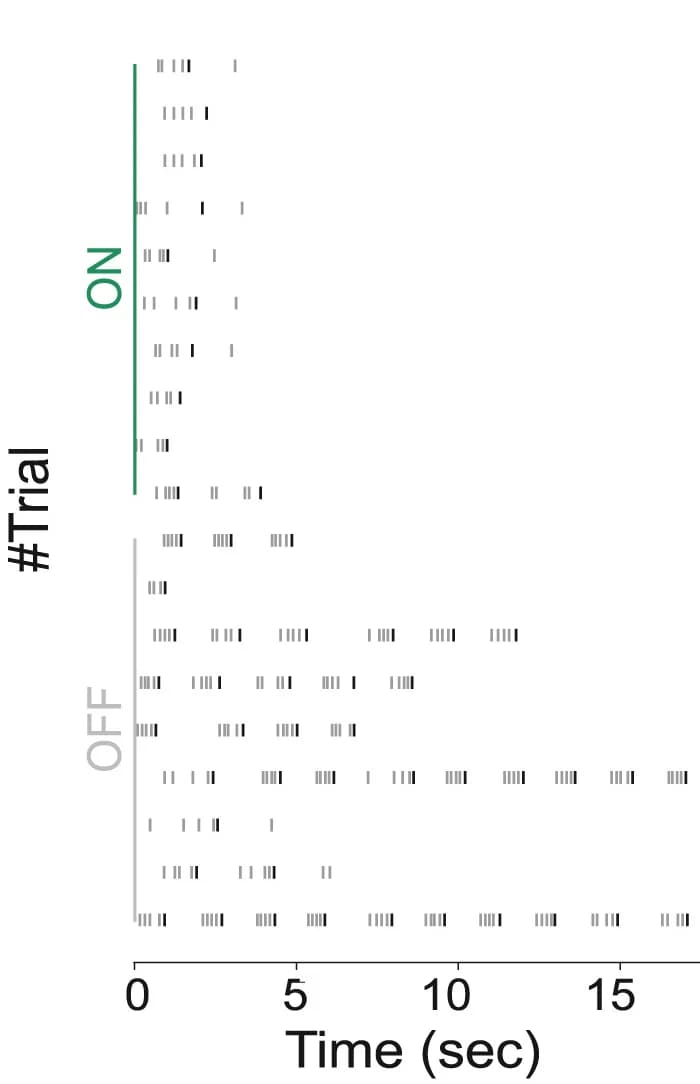 Open access visualization of Line Step, Representative sessions, Laser stimulation, Trial, Lick