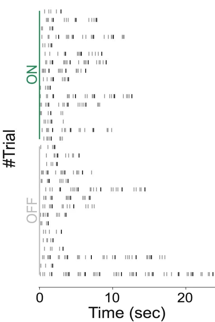 Open access visualization of Scatter Plot, Line Plot, Representative sessions, Laser stimulation, Trial