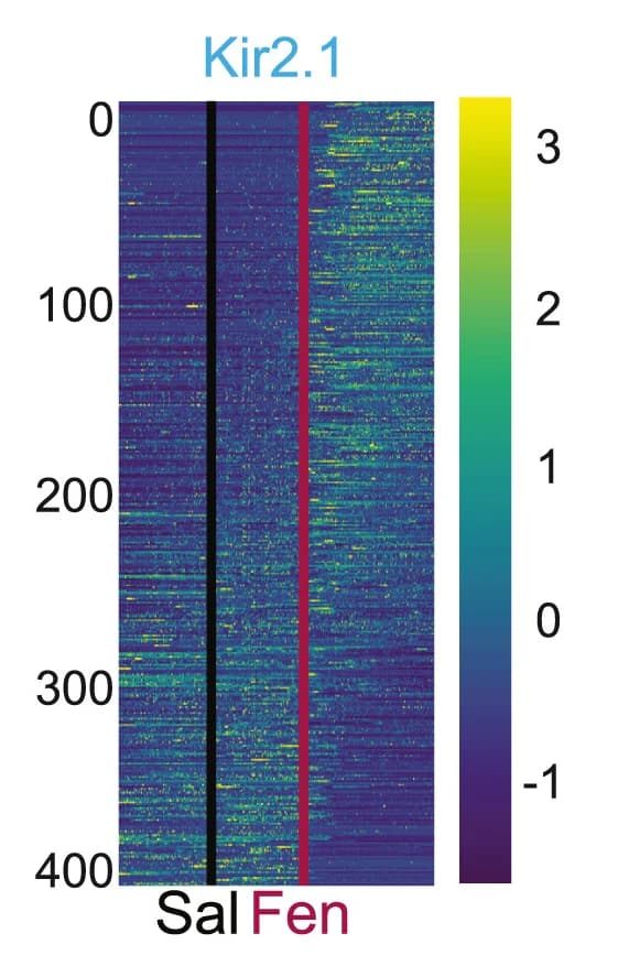Open access visualization of Heatmap, Heatmaps, Firing Rates, Units, Frontal Cortex