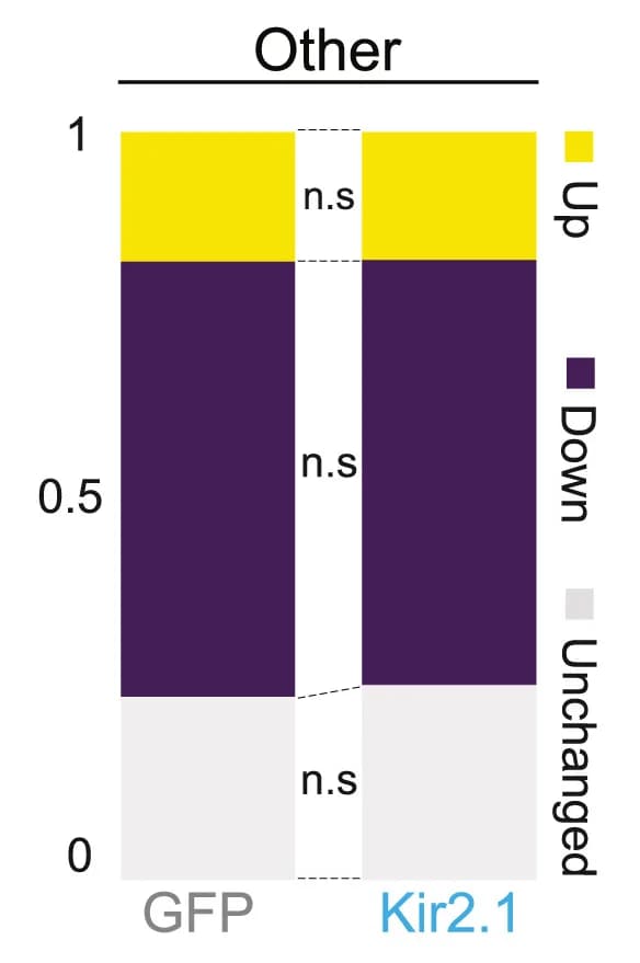 Open access visualization of Stacked Bar Plot, Units, Fentanyl, Modulation Index, Upregulated
