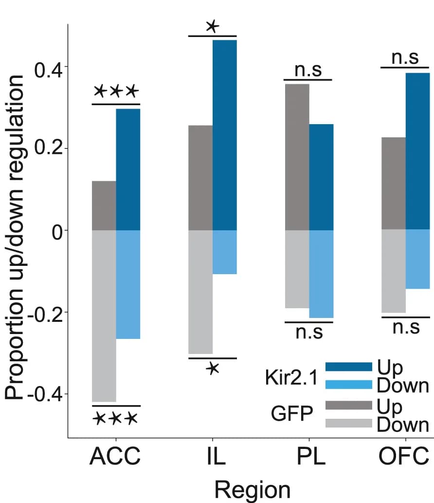 Open access visualization of Bar Plot, Clustered, Proportions, ACC, IL