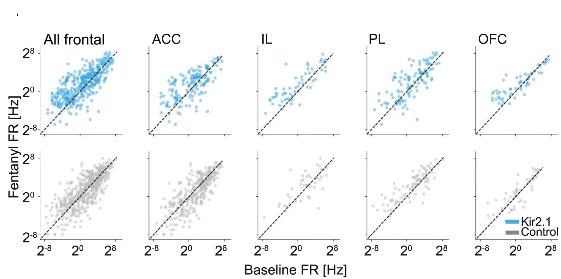 Open access visualization of Scatter Plot, Firing Rate, Correlations, Fentanyl, Baseline