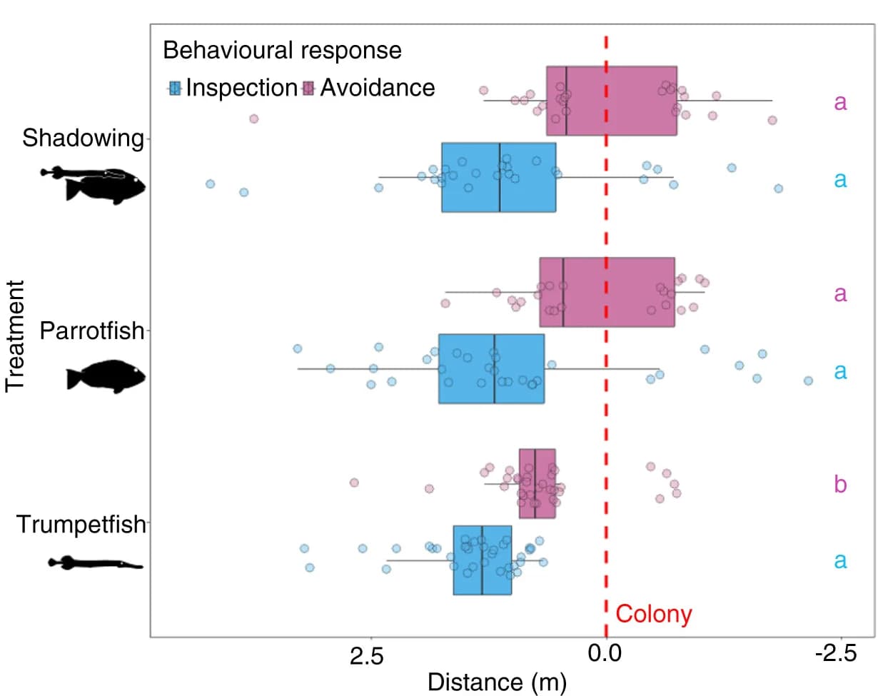 Open access visualization of Box Plot, Scatter Plot, Distance, Colony, Model
