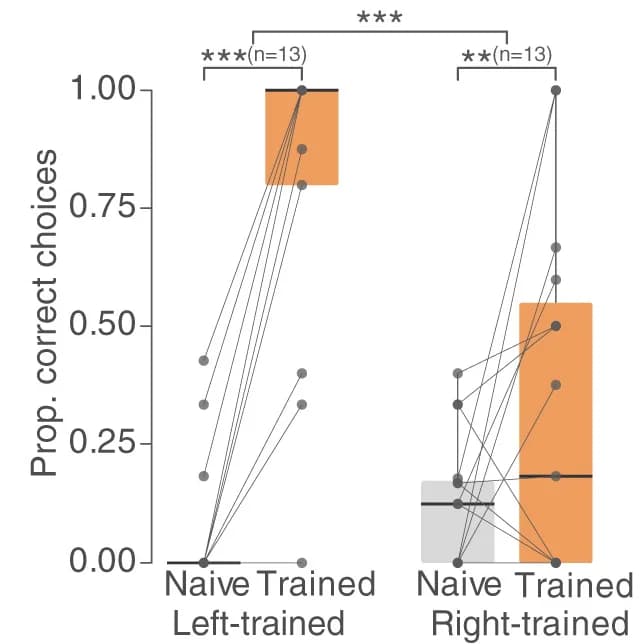 Open access visualization of Box Plot, Scatter Plot, Line Plot, Butterflies, Accuracy
