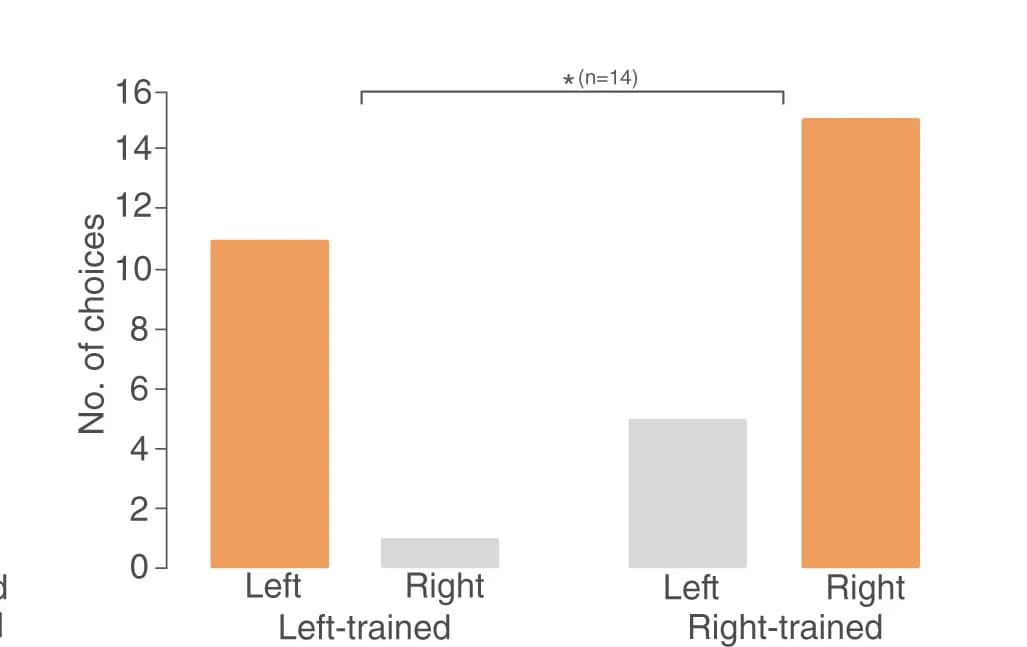 Open access visualization of Bar Plot, Butterflies, Foraging, Feeding