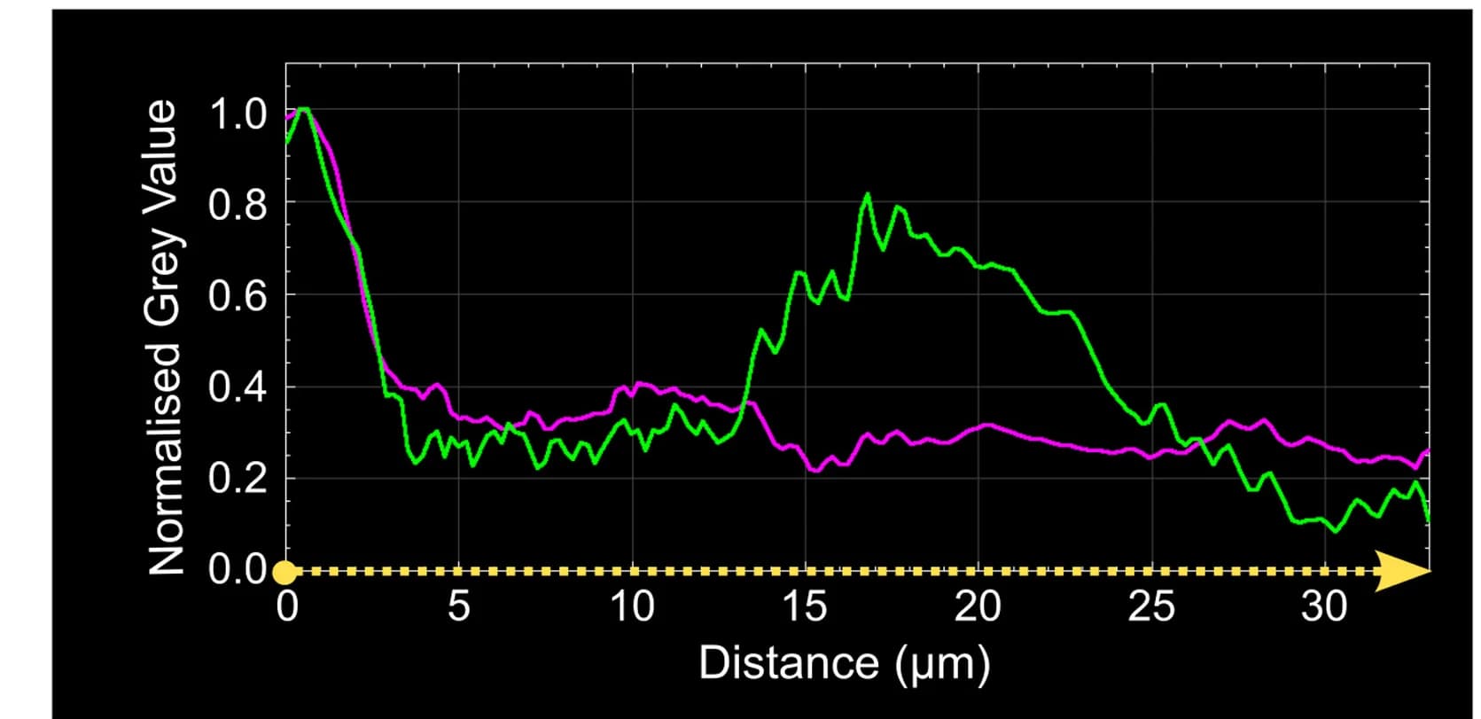 Open access visualization of Line Plot, Fluorescence Intensities, Venus-MpROP, mScarlet-AtLTI6b, Plasma Membrane