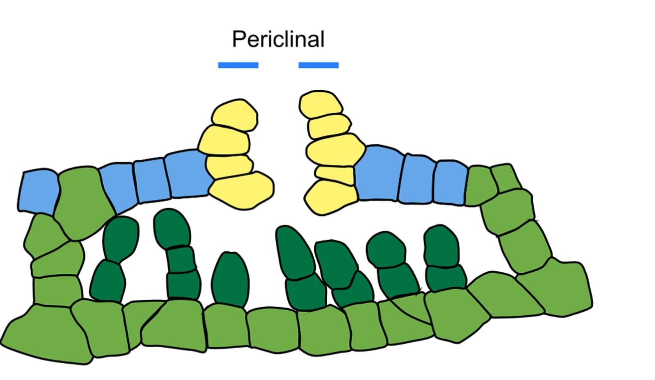 Open access visualization of Illustration, Air Pore Formation