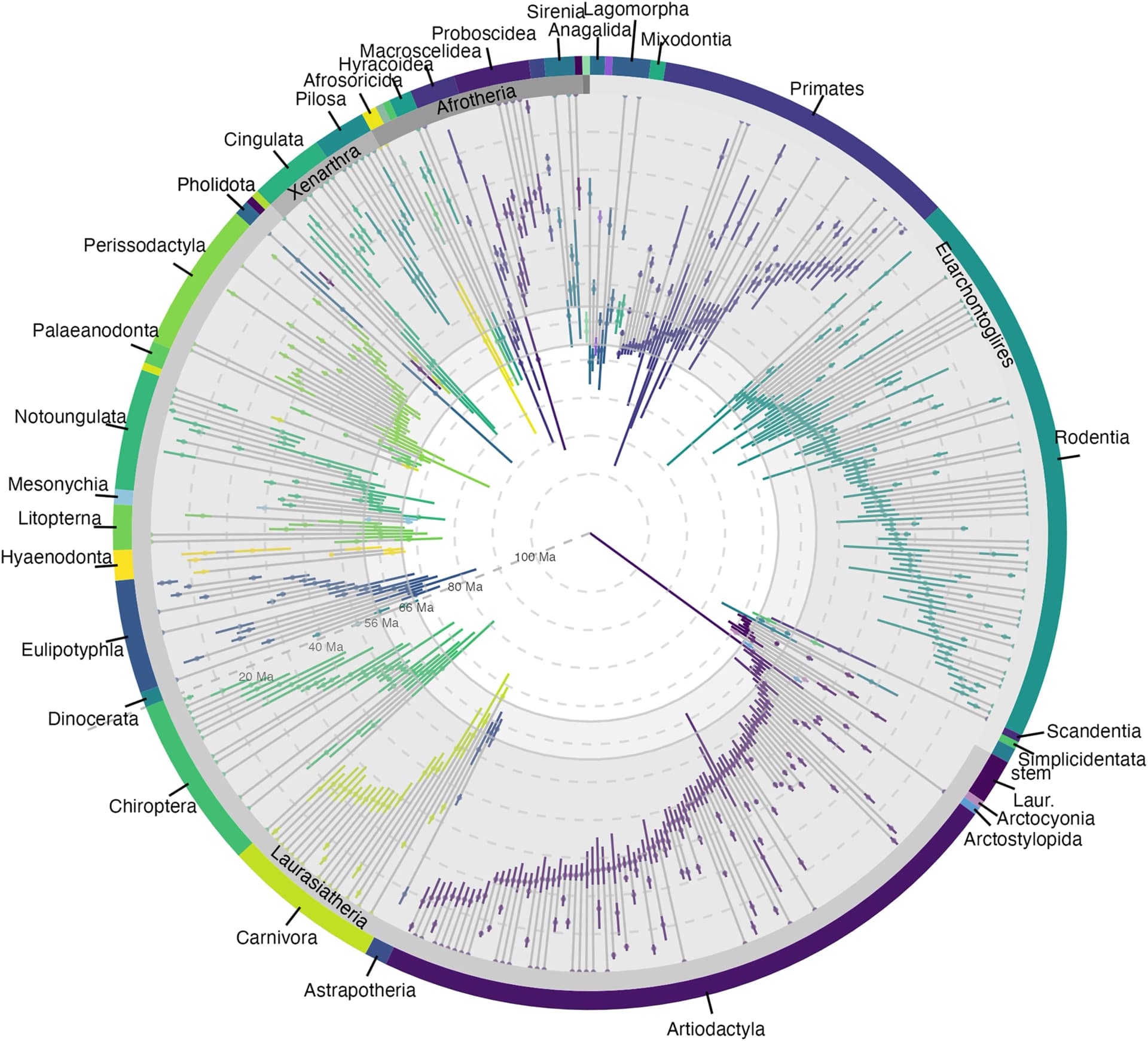 Open access visualization of Bar Plot, Error Bars, Pie Chart, Phylogenetic Tree, Credible Intervals