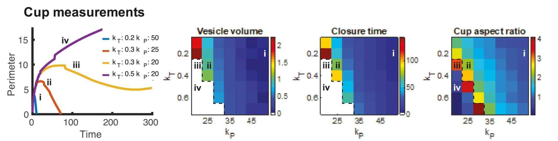 Open access visualization of Line Plot, Heatmap, Membrane Tension, Actin Polymerization, Macropinocytosis