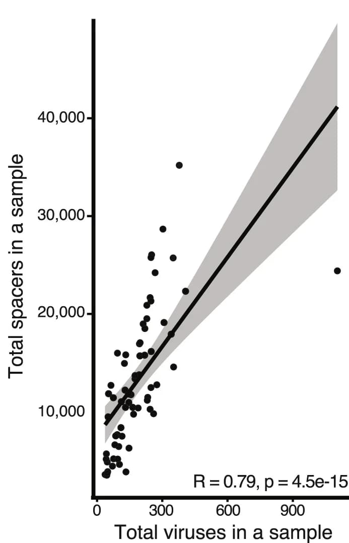 Open access visualization of Scatter Plot, Regression Plot, Spearman Correlation, Spacers, Wells