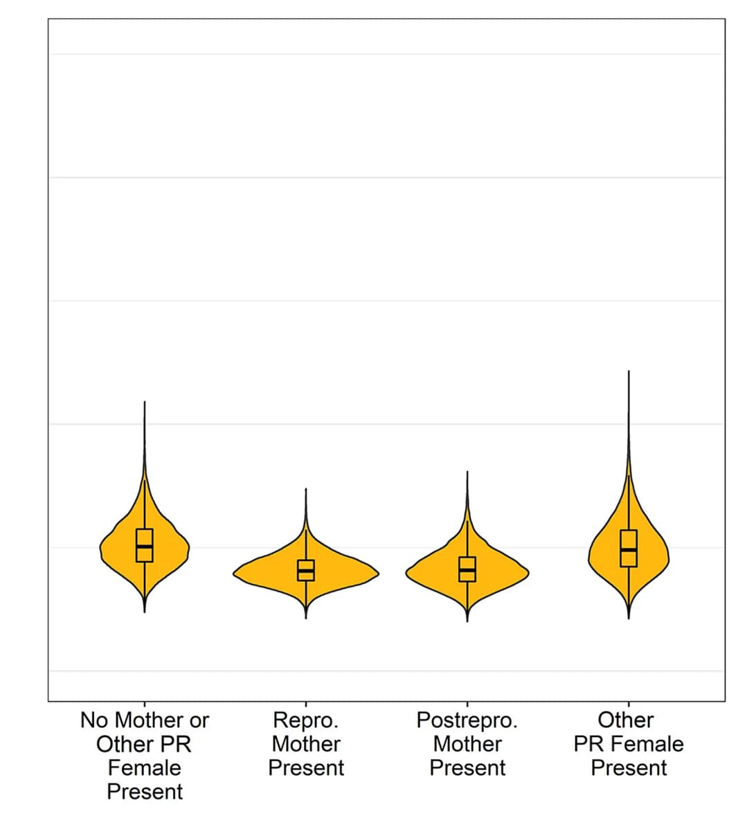 Open access visualization of Violin Plot, Box Plot, Rake Density, Females, Social Conditions
