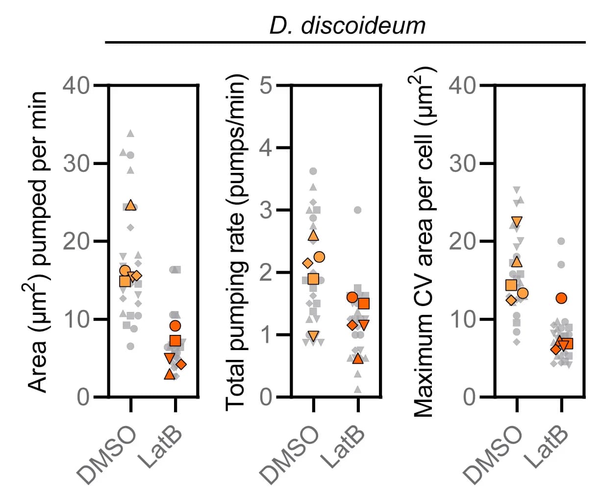 Open access visualization of Scatter Plot, D. discoideum cells, Contractile vacuoles, Latrunculin B, DMSO