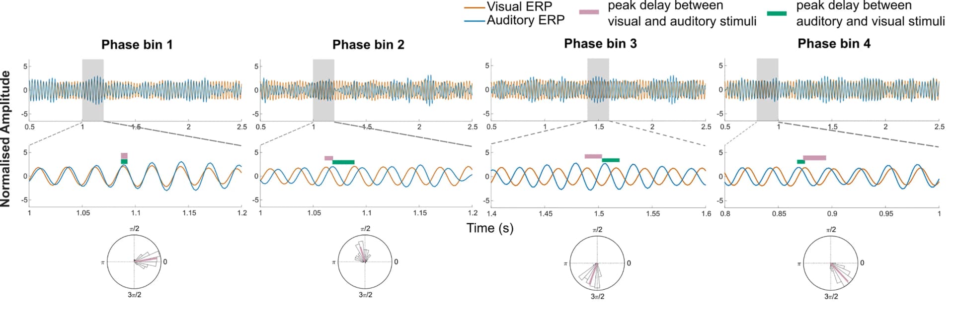 Open access visualization of Line Plot, Radar Chart, Phase Differences, ERP, Amplitude