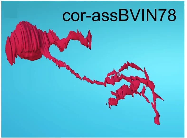 Open access visualization of 3D Plot, Neuron, Connectome