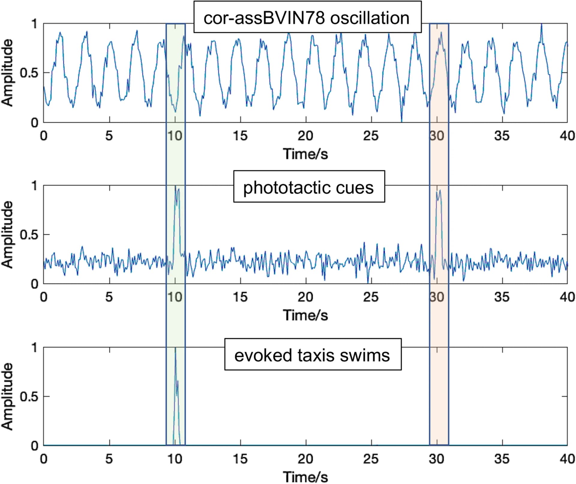 Open access visualization of Line Plot, Phototaxis, cor-assBVIN78, Oscillations, Taxis swims