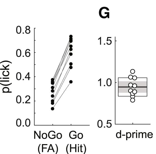 Open access visualization of Line Plot, Box Plot, Scatter Plot, Hit Rate, False Alarm Rate
