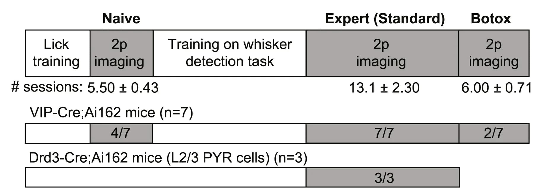 Open access visualization of Bar Plot, Error Bars, Experimental Design, Mice, Imaging Condition
