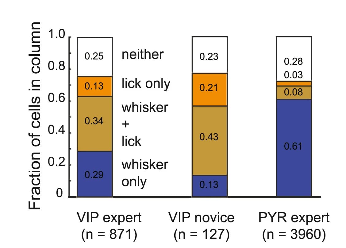 Open access visualization of Stacked Bar Plot, VIP Cells, Whisker-Responsive, Lick-Responsive, L2/3