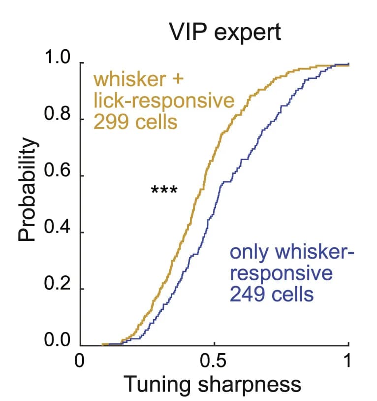 Open access visualization of Line Plot, Line Step, Tuning Sharpness, Whisker-Responsive, Lick-Responsive
